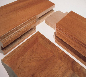 Mortise and Tenon Joints